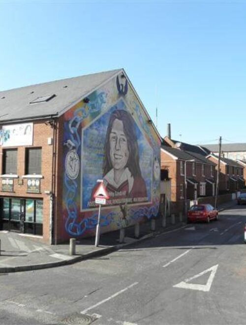 Belfast Political Mural Tour & Peace Walls Experience