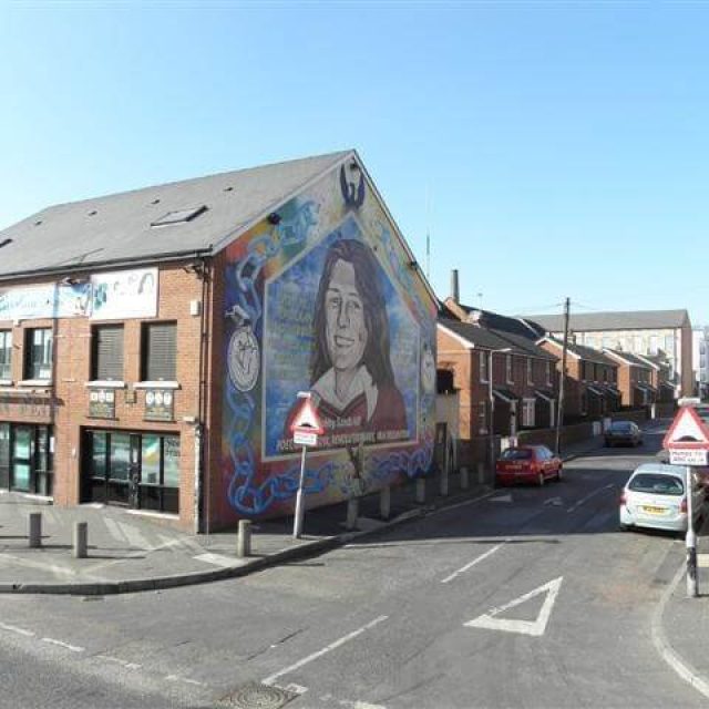Belfast Political Mural Tour & Peace Walls Experience